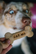 The Pawfood Critics Tasting Box